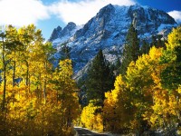 <b>Название: </b>Wallpaper 42, <b>Добавил:<b> AND<br>Размеры: 200x150, 16.0 Кб
