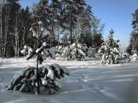 <b>Название: </b>Wallpaper 47, <b>Добавил:<b> AND<br>Размеры: 200x150, 13.0 Кб